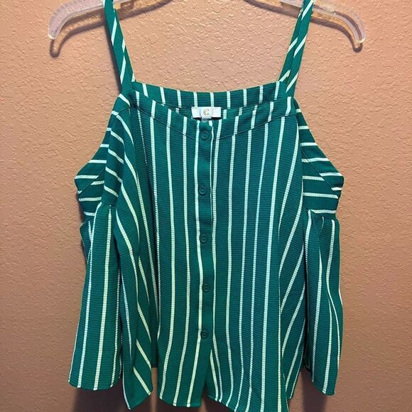 Charming Charlie Green and white striped top - Picture 1 of 11